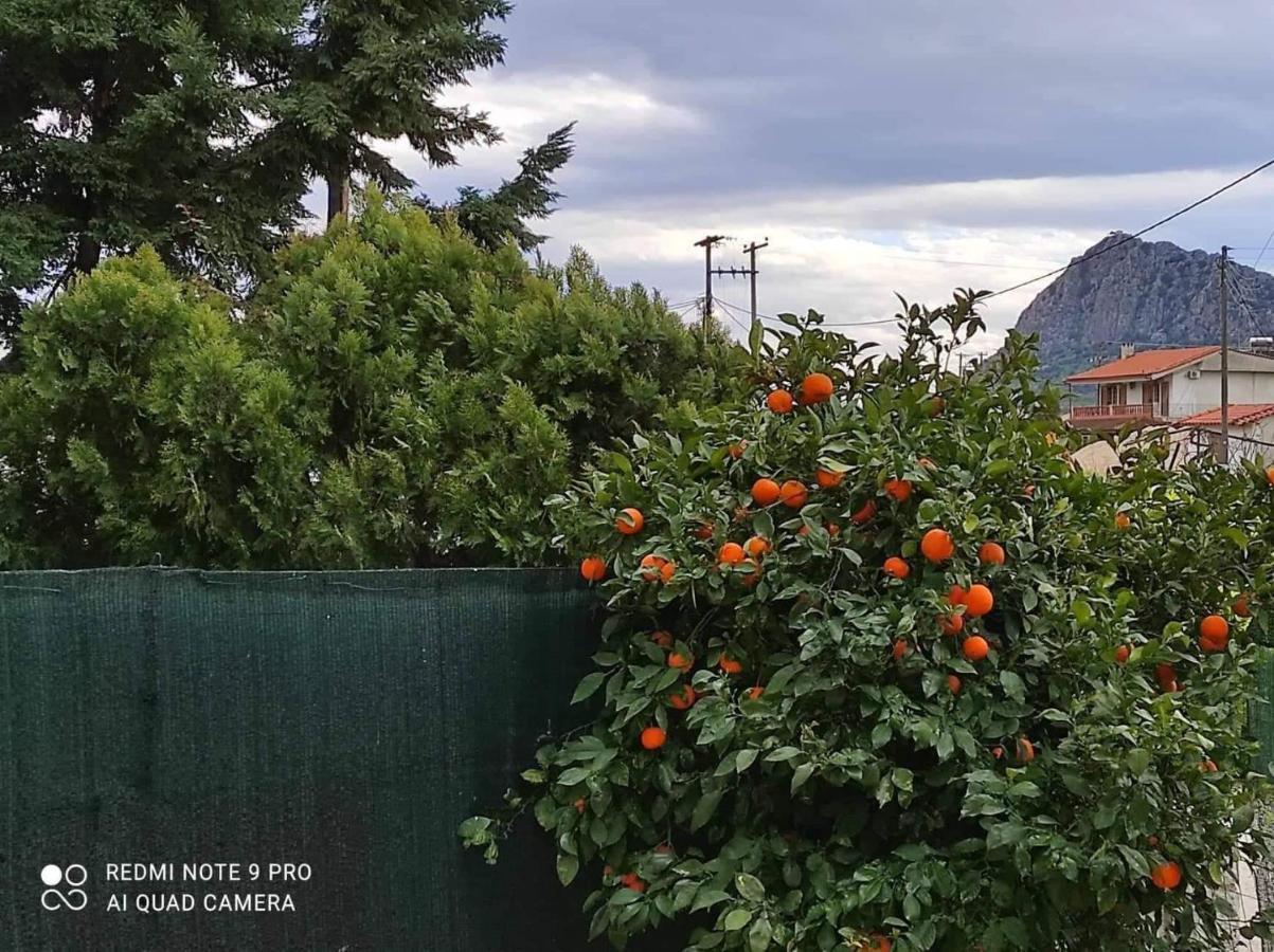 Nafplio Breeze Άνετη Διώροφη Κατοικία Από 4 Έως 9 Επισκέπτες Exteriér fotografie
